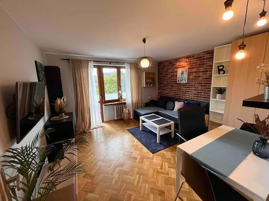 Modern Apartment In The Heart Of Poznan
